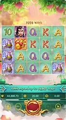 F2222 · Lgd Monkey Kg